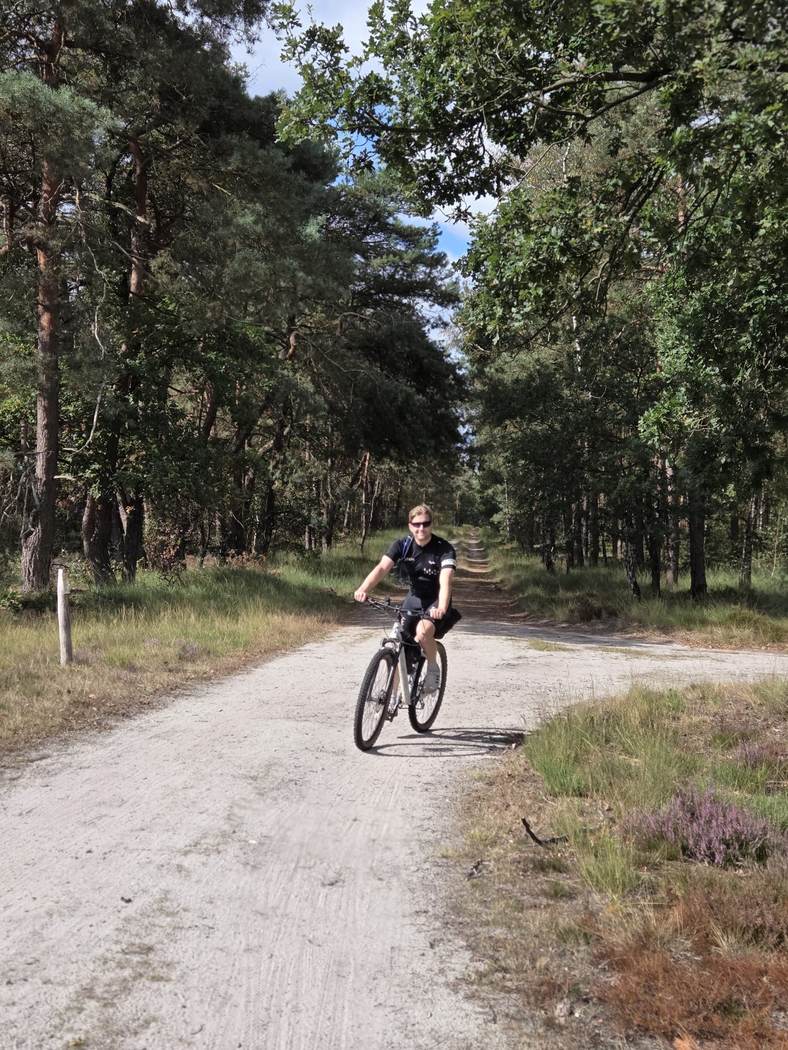 Wit grind tussen de dennen door