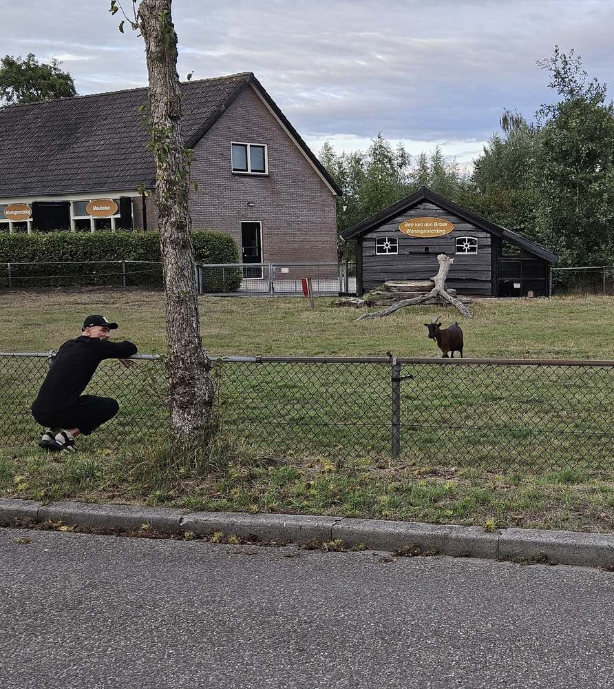 Minimaal 1 wolf, 1 hert en 1 zwijn, zei Danny. We kregen een geit.